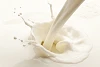 Mythen und Fakten zur Milch