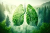 Natürliche Stärkung für die Lungen